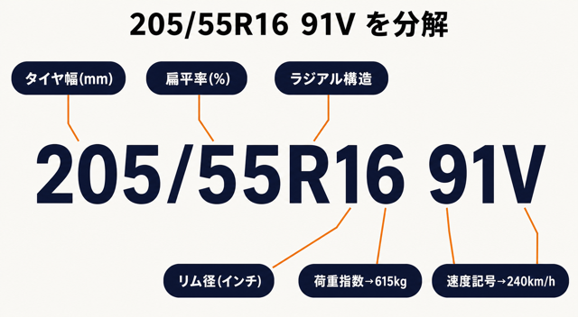 205/55R16 91Vサイズ分解図